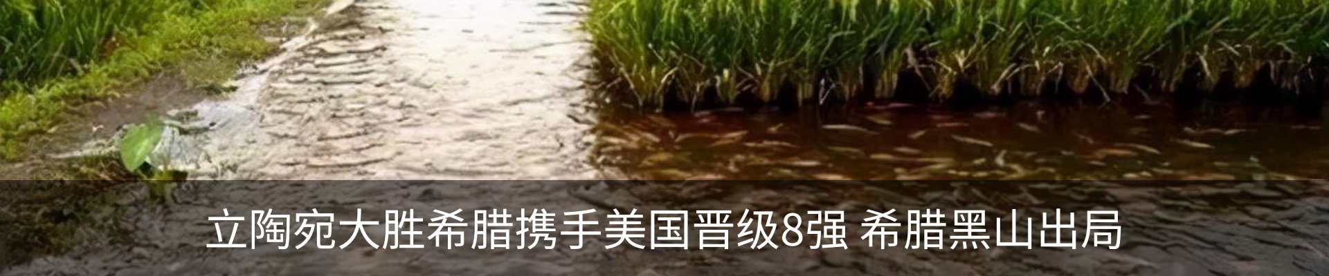 资讯中心