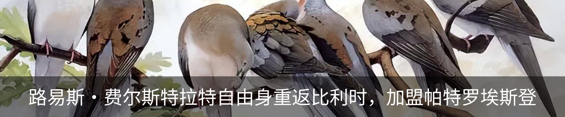 资讯中心
